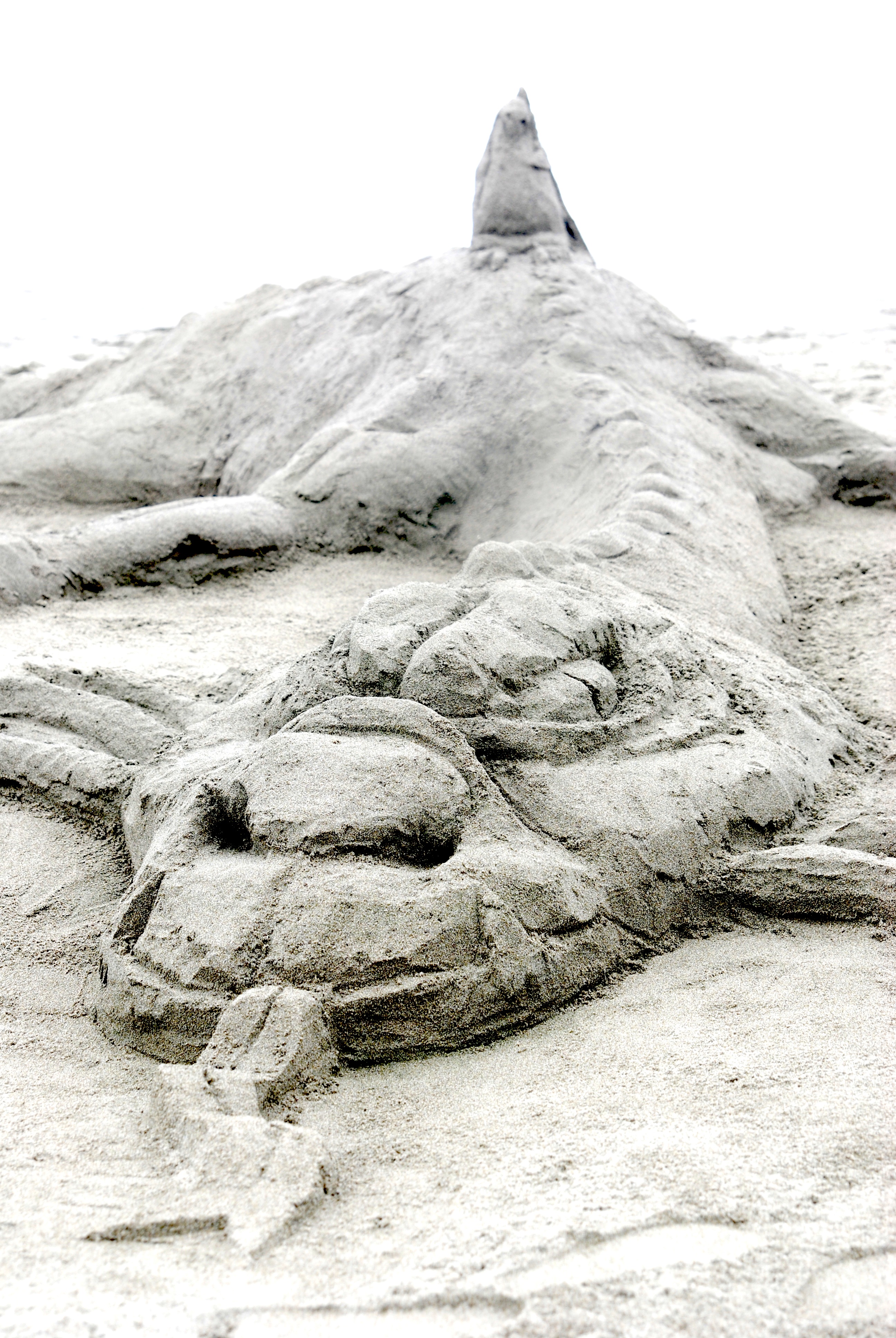 click for full size: Dragon, slain. Photo courtesy of Jose Quezada.